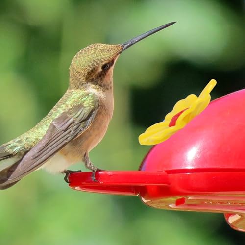 16 Pieces Hummingbird Feeders Replacement Flowers Yellow Pet Replacement Bird Feeder Replacement Parts with 2 PCS Brush Feeding Ports Bee Guards for Hummingbird Feeders for Outdoors Hanging Feeder