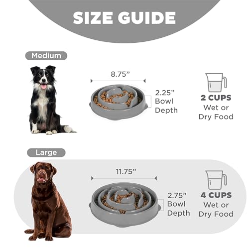 Outward Hound Fun Feeder Slo Bowl – Large 4‑Cup Capacity, Slow Feeding, Medium to Large Dogs, Non‑Slip, Gray, Drop Pattern, 11.75" - color: Gray, size: Large