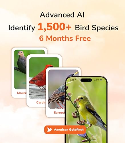 Smart AI Bird Feeder Camera, 2.5K HD Live View, Solar-Powered Wooden Outdoor Feeder with AI Recognition, Weatherproof, App Notifications - Ideal for Bird Lovers, Parents & Kids