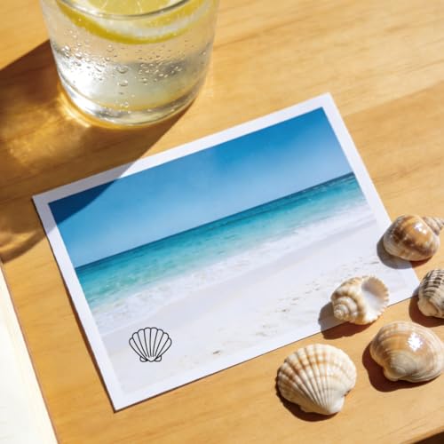 AHANDMAKER 5 Styles Seashells Wooden Rubber Stamp, Starfish Striped Clam Shell Patterns Stamps Round Coastal Stamp for DIY Making Scrapbooking Card Stamping Pottery Clay Crafting - style: Seashells