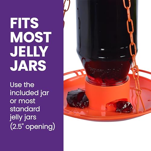 Perky-Pet Wild Oriole Jelly Bird Feeder, 32oz Capacity | Built-in Stirrer with Large Circular Feeding Tray, Wraparound Perch, Outdoor Garden Décor for Backyard Birding & Wildlife
