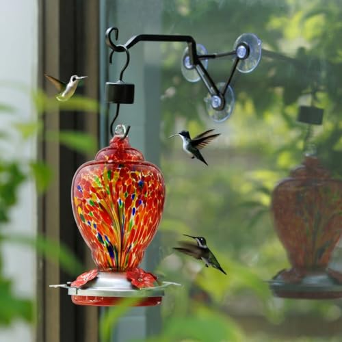 Hand Blown Glass Hummingbird Feeder with Heavy-Duty Metal Window Suction Cup Hangers Colorful Glass Bird Feeder and Window Hook with Accessories (Red)