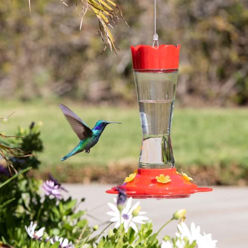 MEKKAPRO Outdoor Glass Hummingbird Feeder, Red, 5 Feeding Stations 10 oz | Designed Ant And Bee Proof For Hanging Use, This Backyard Feeder Includes 5 Nectar Feeding Stations For Outdoor Hummingbirds - color: Classic, size: 10oz