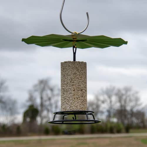 Metal Rain/Weather Guard - Perfect for Outdoor Bird Feeders, Seed Cylinders, Hummingbird Feeders, Cylinder Feeders and More Against Water, Sun, and Overhead Messes Rust Proof, - color: Green, size: 16 Inches