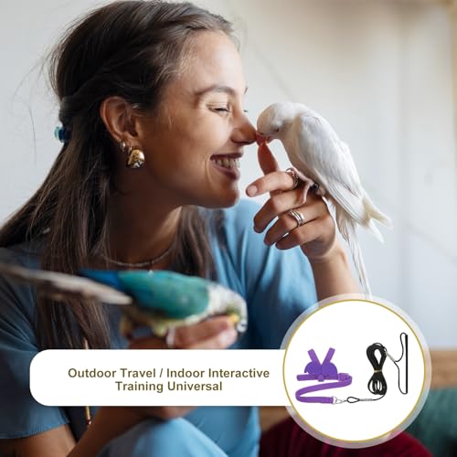 Bird Harness Leash, Adjustable Pet Parrot Bird Harness and Leash Lightweight Anti-Bite Flight Training Rope with Cute Wing, (Purple, M), Intended for Parrots/Pigeons/Budgies - color: Purple, size: Medium
