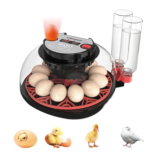 Egg Incubator for Hatching Eggs, 12-Egg Automatic Chicken Incubator | Small Incubator with LED Candler, Auto Turn & Humidity Control for Quail Duck Goose Eggs, STEM Classroom, Farm, 360° Airflow