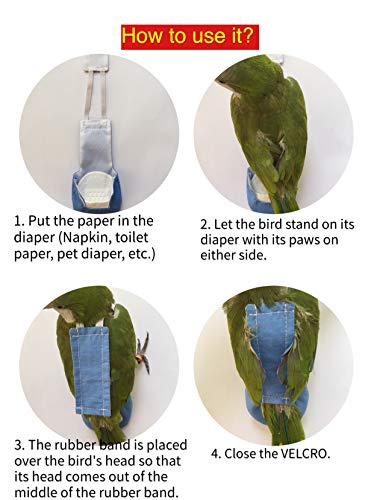 Bird Clothes Parrot Diapers Bird Flight Suits, Reusable Waterproof Diapers pet Bird Supplies (M)