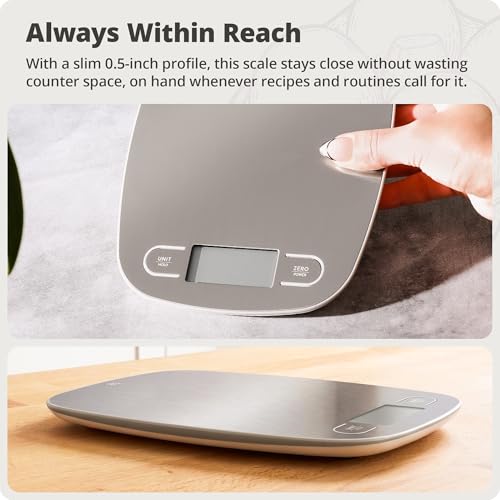 Greater Goods Food Scale, Slim & Compact, 1g Precision (Stainless Steel) | Digital Kitchen Scale for Cooking, Meal Prep & Portion Control, Tare, Auto Shut-Off, g/oz/lb/ml Conversion & Calorie Tracking - color: Stainless Steel