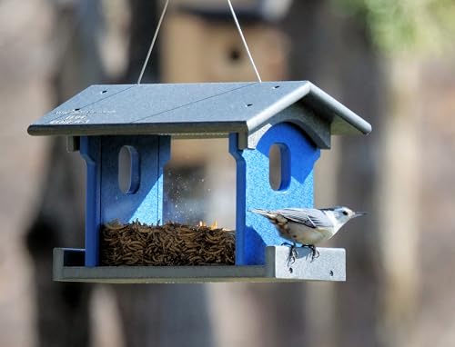 Bluebird Feeder - Poly Lumber - Hanging Blue Bird Feeder for Mealworms (Gray and Blue) - color: Gray and Blue