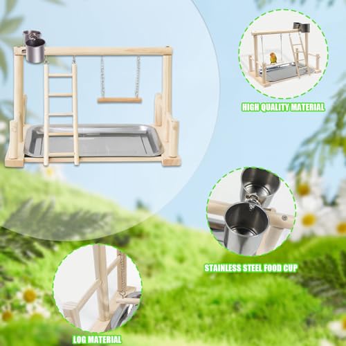 Bird Playground, Natural Wood Bird Perch Stand with Removable Tray and 2 Stainless Steel Feeder Cups, Parrot Playstand Bird Cage Toys for Conure Parakeet Cockatiel Parrot (B) - color: B