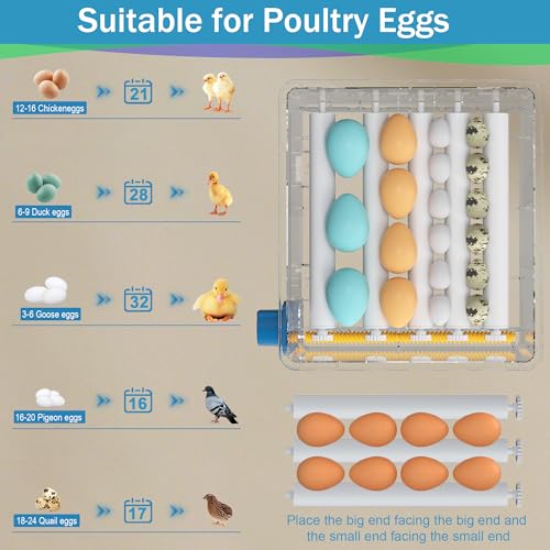 16 Eggs Incubators for Hatching Eggs, Egg Incubator with Automatic Egg Turning, Chicken Egg Incubator with Humidity and Incubation Day Display, Incubator with Egg Candler for Poultry(Blue) - color: Blue, size: 16 Egg