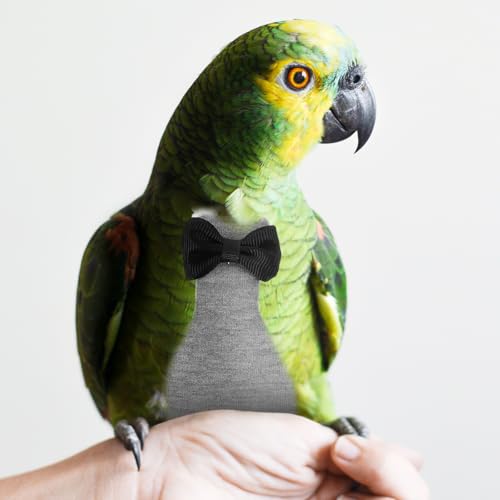 balacoo Washable Bird Diaper Reusable Parrot Flight Suit Skin-Friendly Bird Costume Lightweight Breathable Pet Clothes for Cockatiels Lovebirds Conures Pigeons 2 Pack