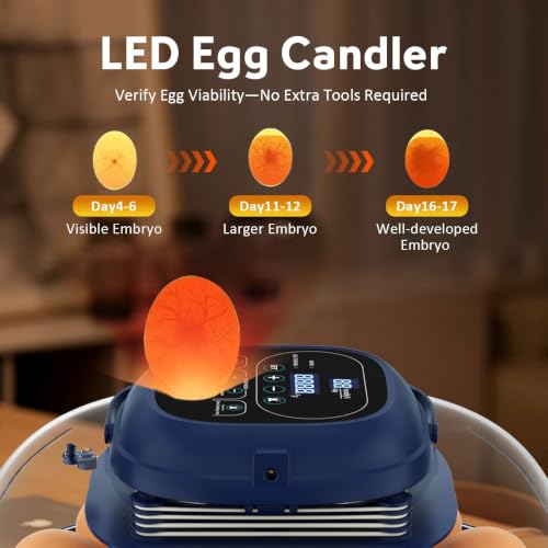 18 Egg Incubator for Hatching Eggs with Automatic Turning, Digital Temperature & Humidity Control, Built-in Egg Candler & Auto Water Refill, 360° Clear View for Chicken - color: Deep Blue+Yellow