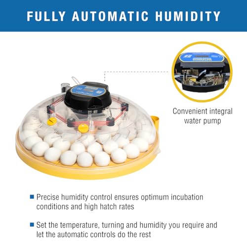 Brinsea Maxi 48 EX Egg Incubator with Automatic Turning & Humidity Control | 50+ years of trusted precision! Built-in automatic humidity, auto-turn & temp alarms take the stress out of hatching 48+ eggs