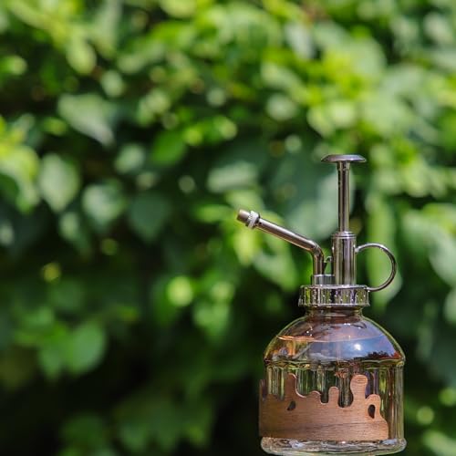 Glass Plant Mister, Spray Bottle with Vintage Bronze Plastic Pump | Vintage Style Spritzer, Indoor Plant Spray Bottle, 6.3" Tall, 200ml/6.7oz, Small One Hand Watering Can for Garden Cleaning - color: C-Morning Dew