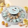 MeeF Egg Incubator for Hatching 28 Eggs, Auto Flip, Independent Atomizing Humidifier, with Duck and Goose Egg Trays (Green)