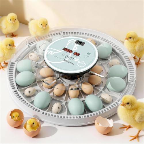 MeeF Egg Incubator for Hatching 28 Eggs, Auto Flip, Independent Atomizing Humidifier, with Duck and Goose Egg Trays (Green)