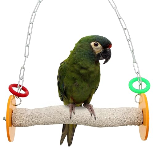 Sweet Feet and Beak Roll Bird Swing, Large, Outdoor Pedicure Perch, Orange | Ceiling Mount, 11" Outdoor Bird Perch with Break Plastic Ends and Rings, Feet and Muscle Stimulation, Available in 5 Sizes - color: Orange, size: 10.5" Large