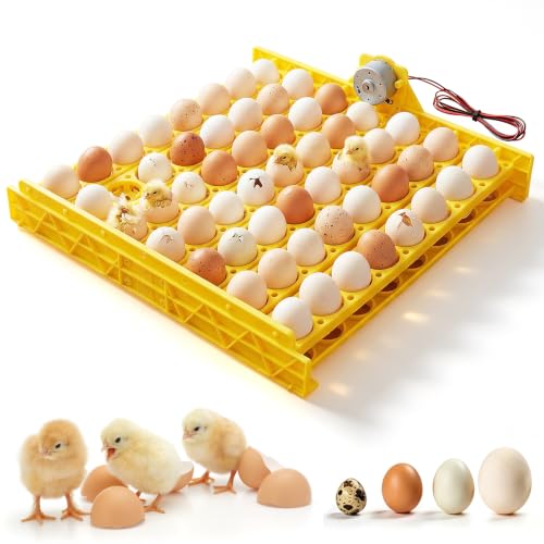 Premium Automatic Egg Incubator Hatcher with 56 Egg Capacity Automatic Egg Turner for Chickens Ducks and Pigeons Yellow Plastic 43 x 41.5 x 4.6 cm