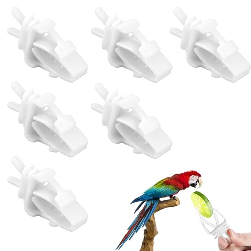 6 Pack Bird Cage Food Holder Bird Cage Clips Parrot Fruit Vegetable Clips White Cages Feeder Clip for Cockatoo Cockatiel Budgie Parakeet Macaw Conure
