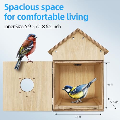 X32D Solar Powered Outdoor Wireless Birdhouse with WiFi Camera | Nesting & Hatching View, Motion Detection, SD Card, Cloud Storage, IR Night Vision, IP65, for Bluebird Swallow Wren Chickadee