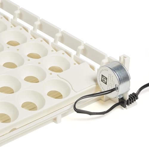 Farm Innovators 3200 Automatic 41 Spot Egg Turner for the Bottom of Incubators to Eliminate Manual Handling and Improve Hatching Rate, White (4 Pack) - size: 4 Pack