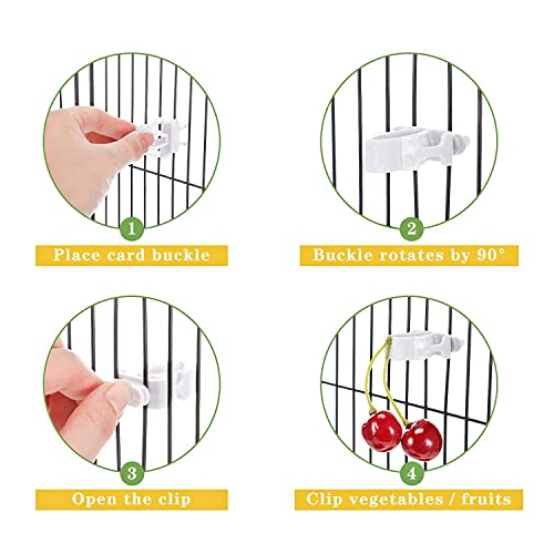 Birds Food Holder heyous 6pcs Bird Cage Food Holder Clips White Pet Parrot Fruit Vegtable Clips Cuttlefish Bone Feeder Device Pin Clamp Bird Cage Accessories