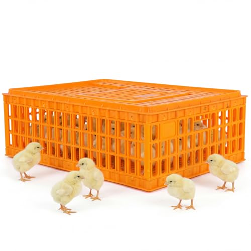 6pcs Chicken Carrier Chicken Transport Cage Crate with Sliding Door 29.5x21.6x10.6inch Chick Boxes for Transport Bird Travel Carrier for Poultry Bird Duck Goose (Carton Delivery)