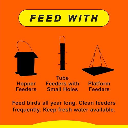 Wild Delight Woodpecker, Nuthatch N' Chickadee Food, 5 lb (364050) - size: 5 Pound (Pack of 1), style: Nuthatch N' Chickadee