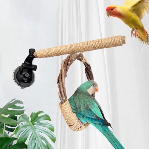 La La Pet Suction Cup Bird Perch Swing and Ring Set Sucker Bird Standing Rack Multifunctional Wooden Parrot Toy for Small and Medium Birds Cockatiel Parakeet Lovebirds Medium