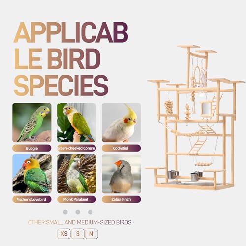 VELVETPAW Bird Playground – 7-Level Natural Wood Parrot Playstand with Feeders & Toys, Modular Two-Tier Bird Play Gym, Detachable Top Tabletop Stand & Detachable Top Tabletop Stand