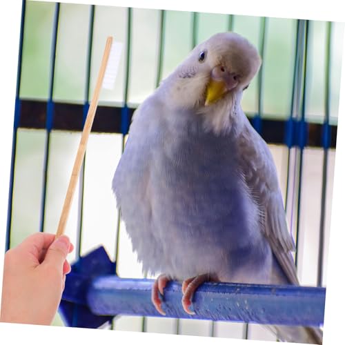 ibasenice 2pcs Bird Cage Cleaning Set Versatile Brush and Droppings Scoop for Small Animal Cages for Easy Maintenance