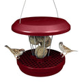 SWISSINNO Bird Feeders - No Mess Fat Ball/Suet Feeder for Outdoors Hanging - Smart Birds Lucerne Spill Proof Wild Cardinal Bird Feeder with Integrated Seed Catcher Tray - Burgundy - color: Burgundy, style: Lucerne