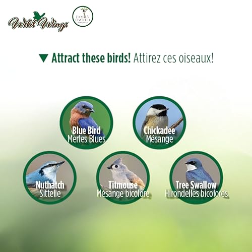 Wild Wings Decorative Bluebird House Verdant Petals, Green - style: Verdant Petals