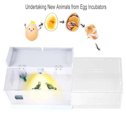 Iarge Scale Chick brooder Box Quail cage Egg Incubator Chicken brooder 20 | Chick Starter Kit Baby Chicken Cage Take 2 Heat lamp 2 Chick feeder and waterer kit White 27. 5 in