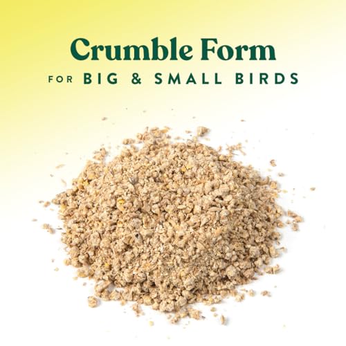 Manna Pro All Flock Crumbles with Probiotics, Chicken & Duck Food, 25 lb | Complete Feed for Mixed Flocks, 16% Protein, Chicken & Duck Feed, Added Probiotics for Digestion, Easy-to-Eat Crumbles - size: 25 Pound (Pack of 1)