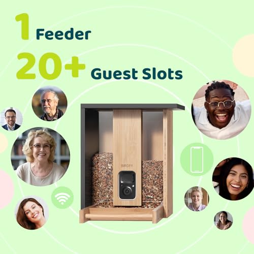 NETVUE by Birdfy Bamboo Feeder with Camera, Solar Powered, 2K Live Stream, AI Bird Identification, Motion Detection, Wooden Bird Feeder for Birdwatching, for Bird Lovers - style: AI 7 Day Trial