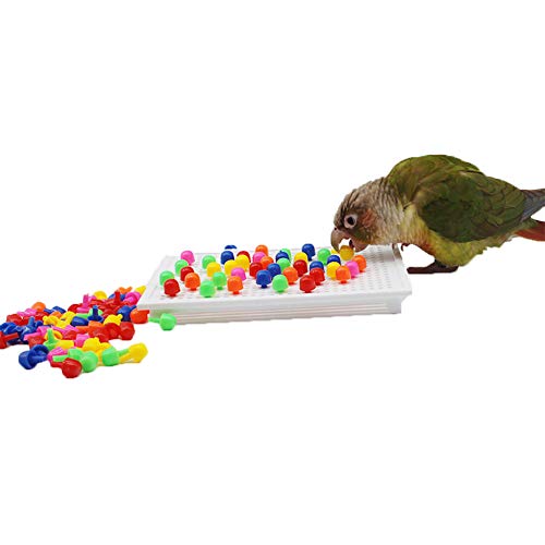 QBLEEV Parrot Puzzle Toys for Parakeets, Cockatiel & Conure - Bird Intelligence Training & Foraging Toys - size: Small
