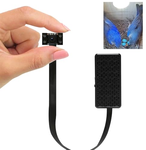 WIWACAM WiFi Bird Box Camera, 4K HD Snapshot 2K Video, Designed for Birdhouse birdhouses, for Robins Wrens Tree Swallows, Live Video to Phone, Easy Install, Night Mode, microSD Card Slot