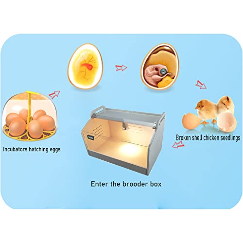 Intelligent Brooder Box Chicken brooder Quail cage Baby Chicken Supplies | Chick starter kit Newborns Chicks Ducks Birds Small Animals Manual Egg Incubators Poultry Heater