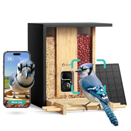 NETVUE by Birdfy Bamboo Bird Feeder with Camera Solar Powered,2K Live Stream&Lifetime AI Bird Identification&Motion Detection,birdswatching Ideal Bird Feeder Gift for Moms and Bird Lovers - style: AI Permanent Service