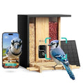 NETVUE by Birdfy Bamboo Bird Feeder with Camera Solar Powered,2K Live Stream&Lifetime AI Bird Identification&Motion Detection,birdswatching Ideal Bird Feeder Gift for Moms and Bird Lovers - style: AI Permanent Service