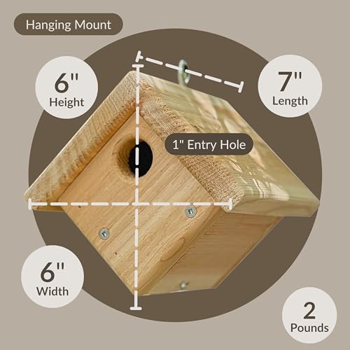 DutchCrafters Small Diamond Cedar Wood Wren Birdhouse, Outdoor Wooden Bird House, Hanging Mount Birdhouse for Outside - Amish Made in USA