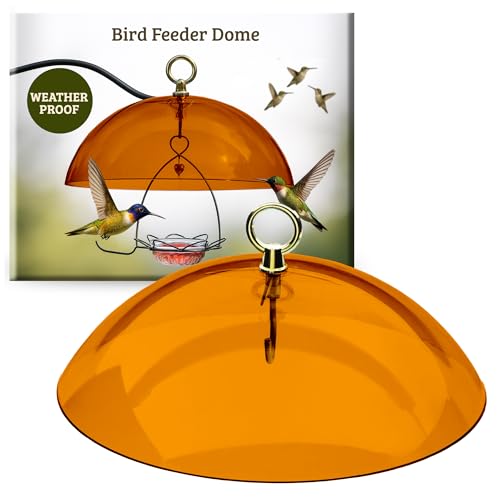 Birds Choice Bird Feeder Dome with Hanger | 10.5in Rain Guard Cover, Orange | Domed Acrylic Outdoor Weather Guard for Hanging Feeders to Keep Seed Dry, Heavy-Duty Chrome-Plated Hanger and Hook - color: Orange