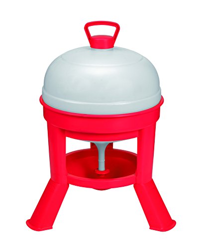 Little Giant® Plastic Dome Waterer | Heavy Duty Plastic Gravity Fed Poultry Waterer Container Tank | Chickens, Ducks & Other Birds for Hobbyists, Farmers and Ranchers | 5 Gallon - size: 5 Gallon