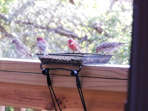 8" x 8" Railing Bird Feeder Tray for Balcony/Deck/Porch Platform Bird Seed Tray with 2 Elastic Rope Ground Mesh for Garden Backyard Outside Wild Birds or Squirrels