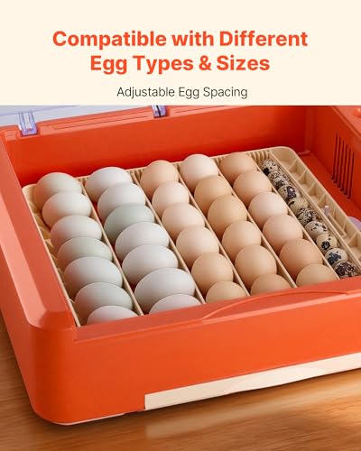 VEVOR 36 Egg Incubator, Automatic Egg Turner with LED Candler & Water Tray, Temperature & Humidity Control, 360° View Clear Window, Poultry Eggs Incubators for Hatching Chicks Ducks Goose Quails - size: 36 Eggs