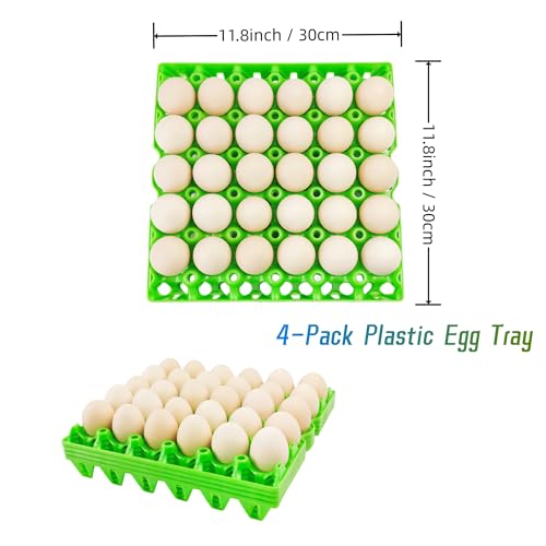 4-Pack Plastic Egg Tray Egg Crates, 30-Egg Flats, Stackable, Durable, Reusable, Green - size: 4-Pack Green