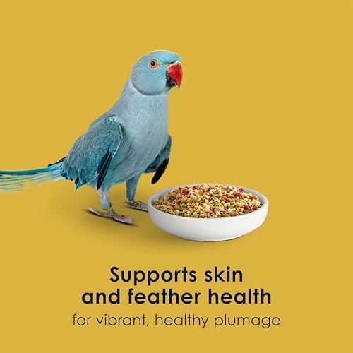 Kaytee Forti-Diet Pro Health Egg-Cite! Nourish+Protect Parakeet Bird Seed | Balanced digestion. Parakeet bird food with real egg. Parakeet food for breeding, molting, with prebiotics