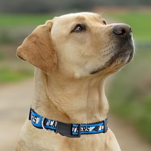 Pets First NFL Carolina Panthers Licensed PET COLLAR, Medium - Heavy-Duty, Strong, and Durable Dog Collar. Available in 31 Football Teams and 4 Sizes - color: Carolina Panthers, size: Medium